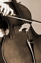 大提琴教學